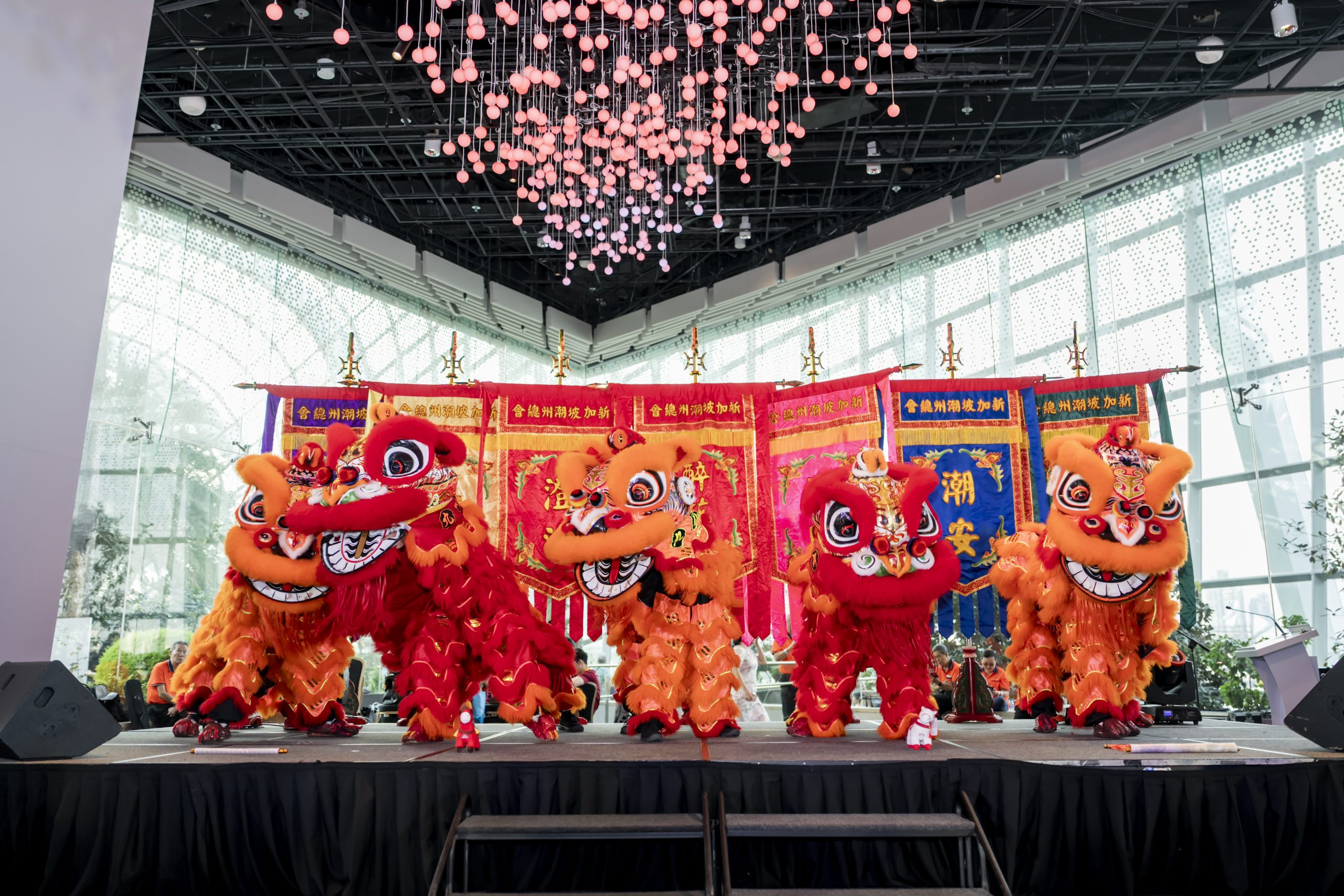 Teochew Yuanxiao Festival 2026 — occasion photograph 11